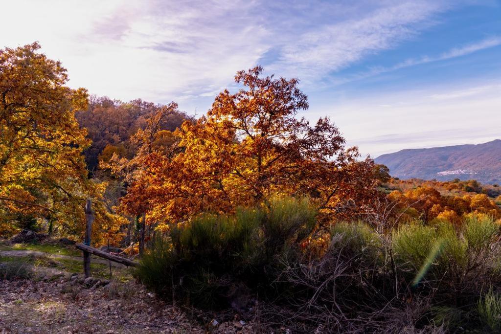 La Canada Del Valle Del Jerte ナバコンセホ エクステリア 写真